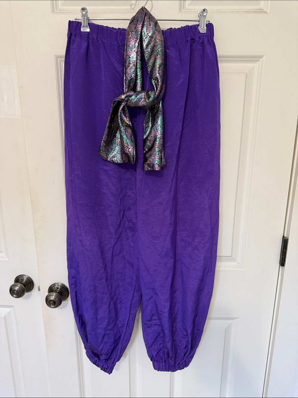 Princess Jasmine Purple Elastic-Waist Harem Pants Costume size small/medium
